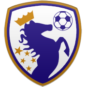 올랜도 매직 엠블럼