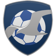 안양 정관장 엠블럼