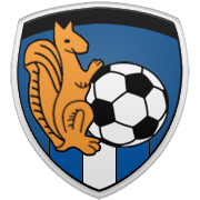 안양 정관장 엠블럼