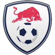 아비스파 후쿠오카 엠블럼