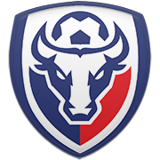 아비스파 후쿠오카 엠블럼