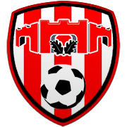 덴버 너기츠 엠블럼