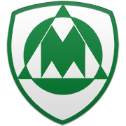 샬럿 호네츠 엠블럼