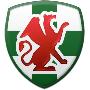 워싱턴 위저즈 엠블럼