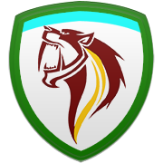 댈러스 매버릭스 엠블럼