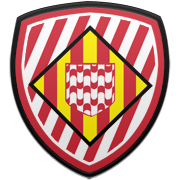 안양 정관장 엠블럼