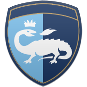 아비스파 후쿠오카 엠블럼