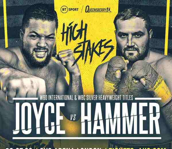 Boxing Joe vs Hammer