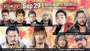  G1 CLIMAX 30 